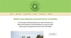 Desktop Screenshot of bostonareagleaners.org